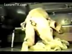 A classic animal sex scenario with a young girl who is bored